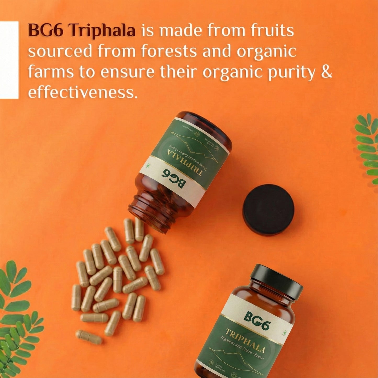 BG6 Triphala for Balanced Bowel & Gut Health